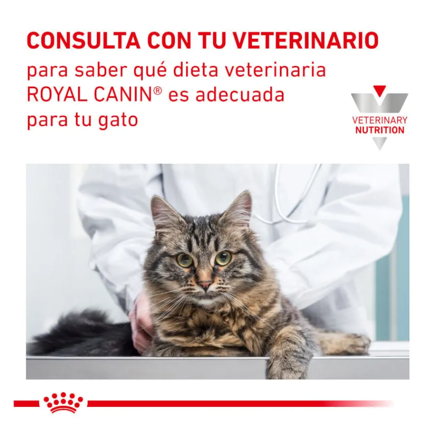 Royal Canin Veterinary Urinary Moderate Calorie pienso para gatos