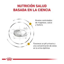 Royal Canin Veterinary Urinary pienso para gatos Online