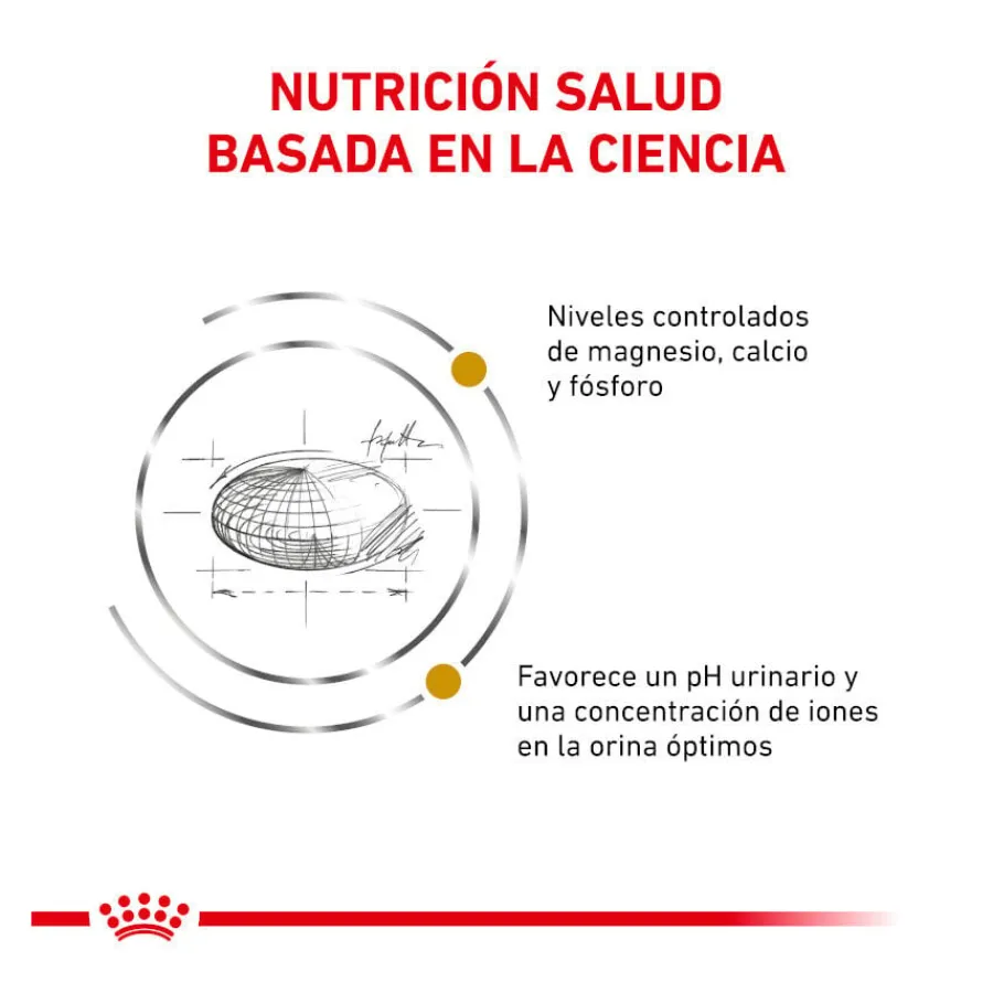 Royal Canin Veterinary Urinary pienso para gatos Online