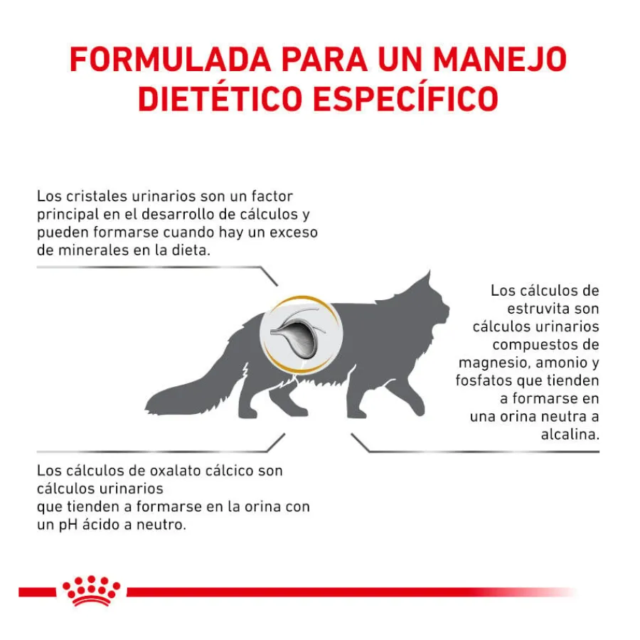 Royal Canin Veterinary Urinary pienso para gatos Online
