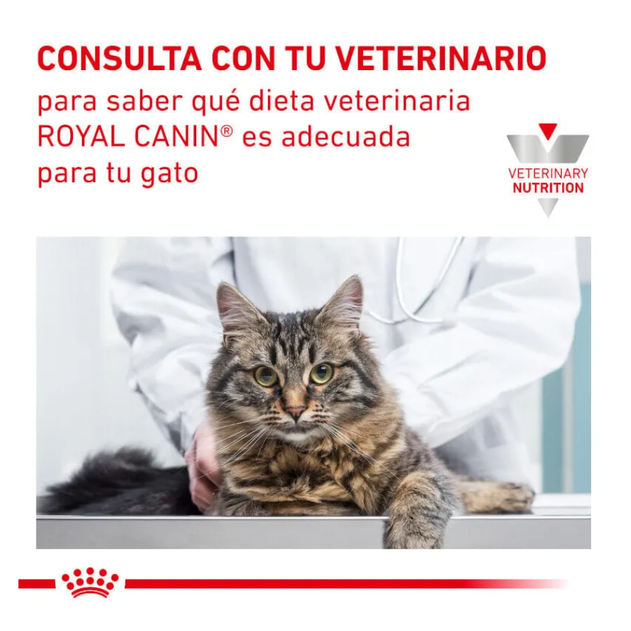 Royal Canin Veterinary Urinary pienso para gatos Online