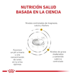 Royal Canin Veterinary Urinary Moderate Calorie sobres para gatos Outlet