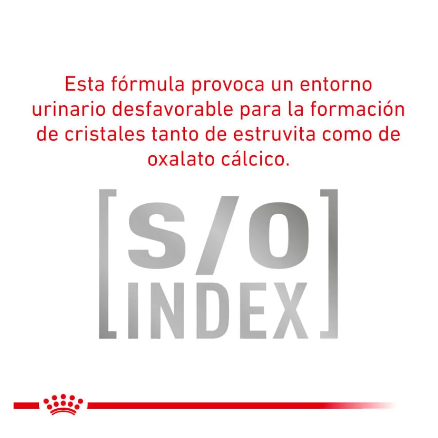 Royal Canin Veterinary Urinary Moderate Calorie sobres para gatos Outlet