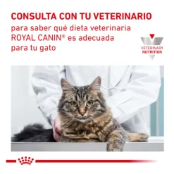 Royal Canin Veterinary Urinary Moderate Calorie sobres para gatos Outlet