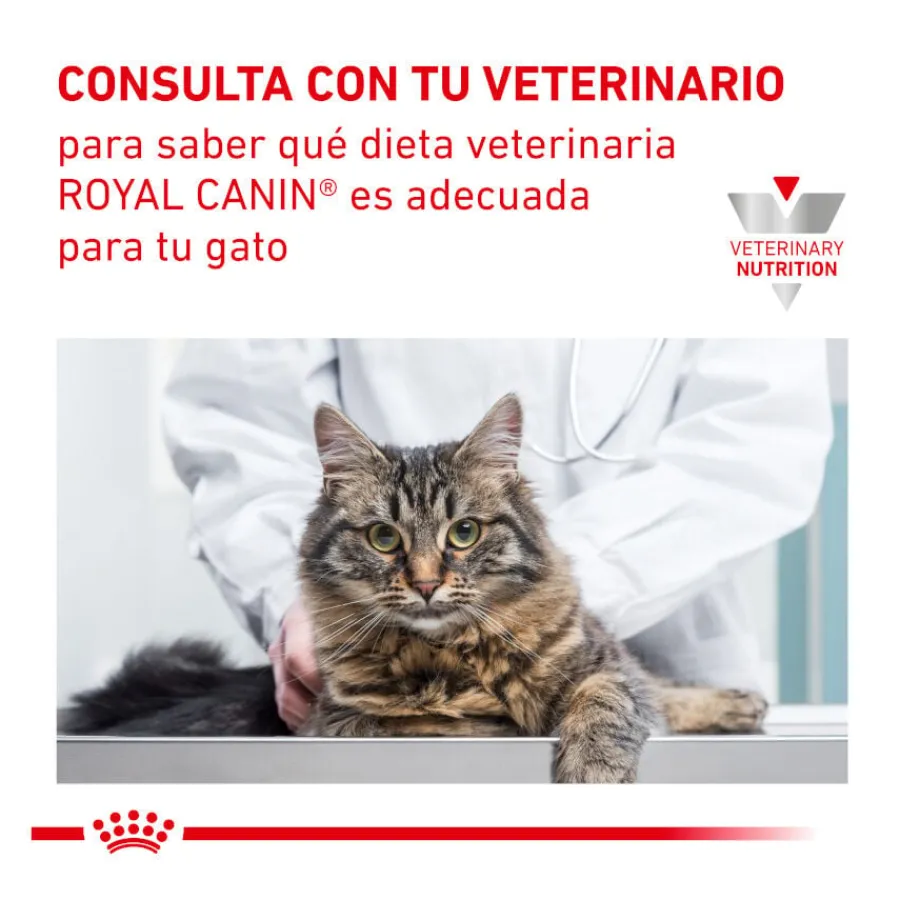 Royal Canin Veterinary Urinary Moderate Calorie sobres para gatos Outlet