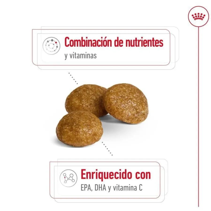 Royal Canin X-Small 8+ Mature pienso para perros New