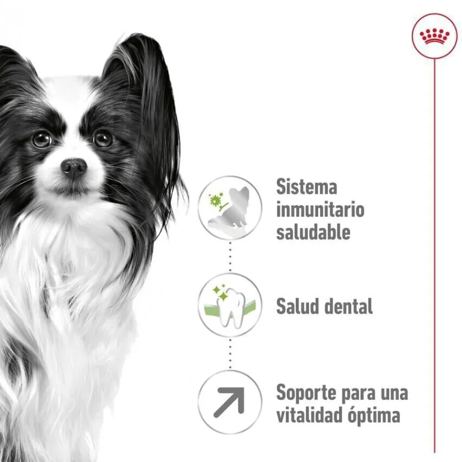 Royal Canin X-Small 8+ Mature pienso para perros New
