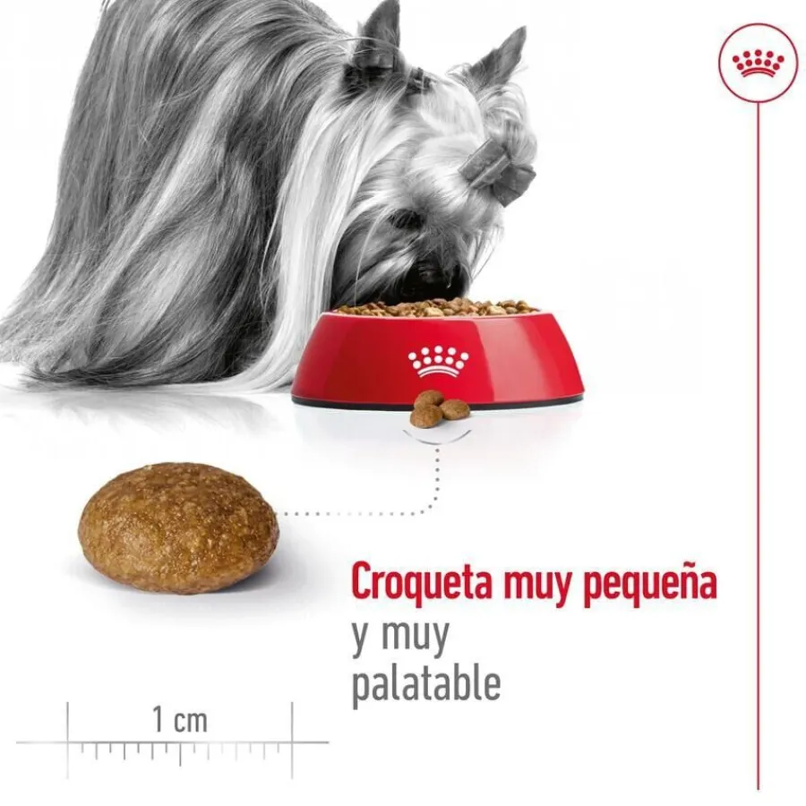 Royal Canin X-Small 8+ Mature pienso para perros New