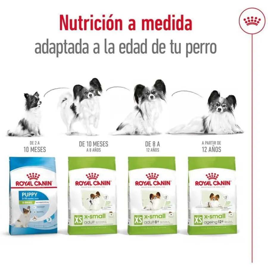 Royal Canin X-Small 8+ Mature pienso para perros New