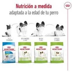 Royal Canin X-Small Adult pienso para perros Clearance
