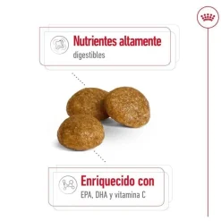 Royal Canin X-Small Adult pienso para perros Clearance