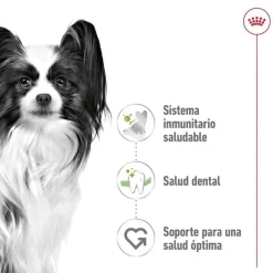 Royal Canin X-Small Adult pienso para perros Clearance