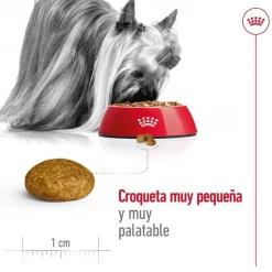 Royal Canin X-Small Adult pienso para perros Clearance