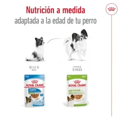 Royal Canin X-Small Adult sobres en salsa para perros Sale