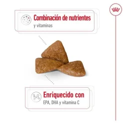 Royal Canin X-Small Ageing 12+ Adult pienso para perros Clearance
