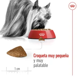 Royal Canin X-Small Ageing 12+ Adult pienso para perros Clearance