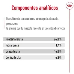 Royal Canin X-Small Ageing 12+ Adult pienso para perros Clearance