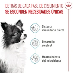 Royal Canin X-Small Puppy pienso para perros