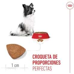 Royal Canin X-Small Puppy pienso para perros