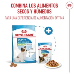 Royal Canin X-Small Puppy pienso para perros