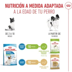 Royal Canin X-Small Puppy pienso para perros