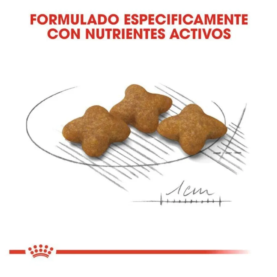 Royal Canin X-Small Sterilised pienso para perros Outlet