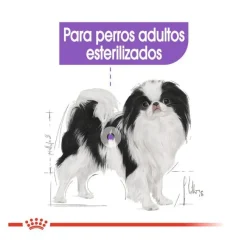 Royal Canin X-Small Sterilised pienso para perros Outlet