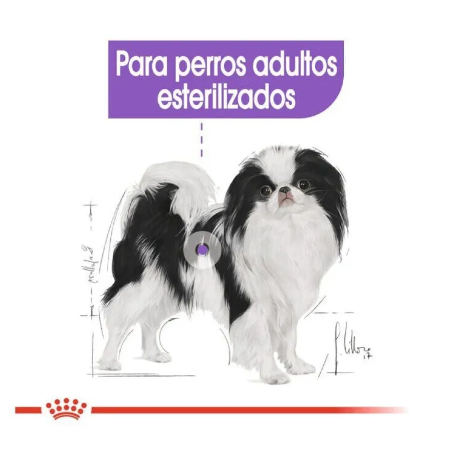 Royal Canin X-Small Sterilised pienso para perros Outlet