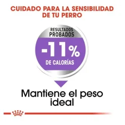 Royal Canin X-Small Sterilised pienso para perros Outlet