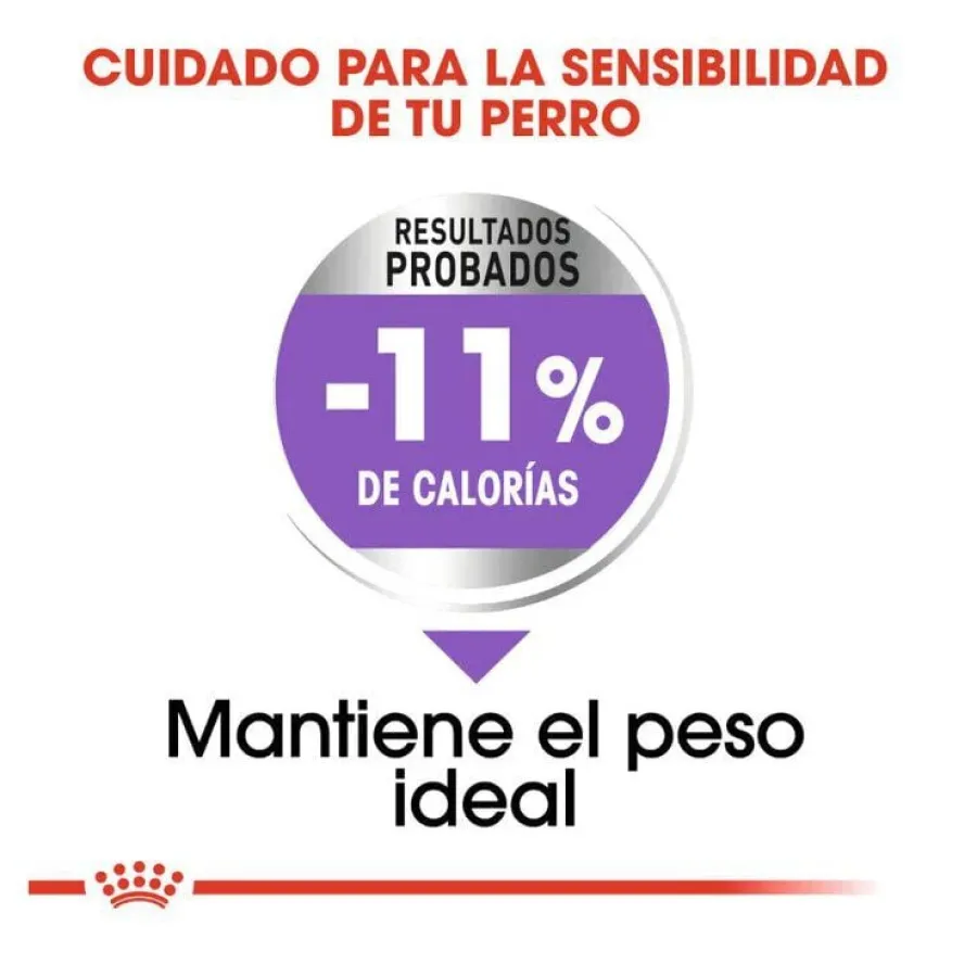 Royal Canin X-Small Sterilised pienso para perros Outlet
