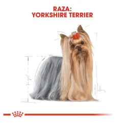 Royal Canin Yorkshire Terrier sobre para perros Outlet