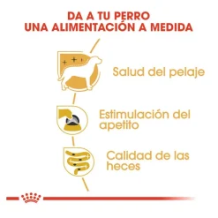 Royal Canin Yorkshire Terrier sobre para perros Outlet
