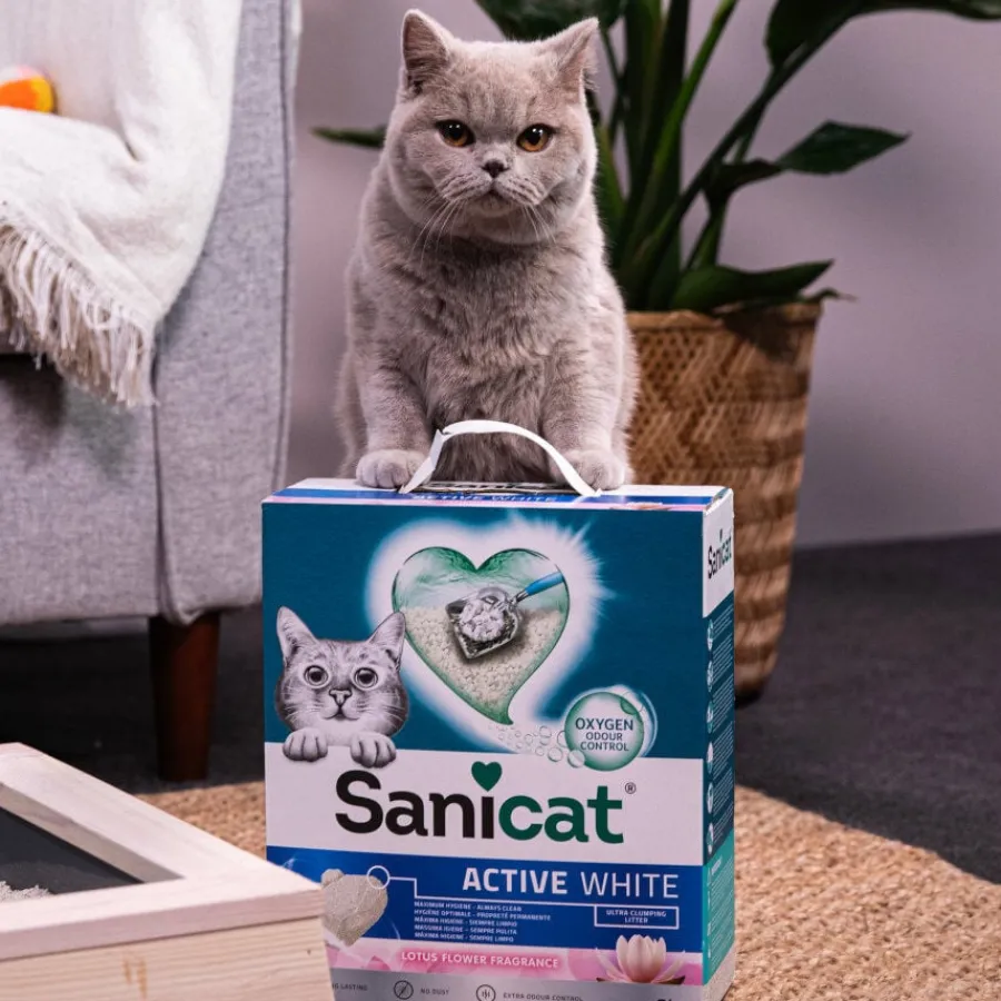 Sanicat Active Lotus Arena Aglomerante para gatos Online