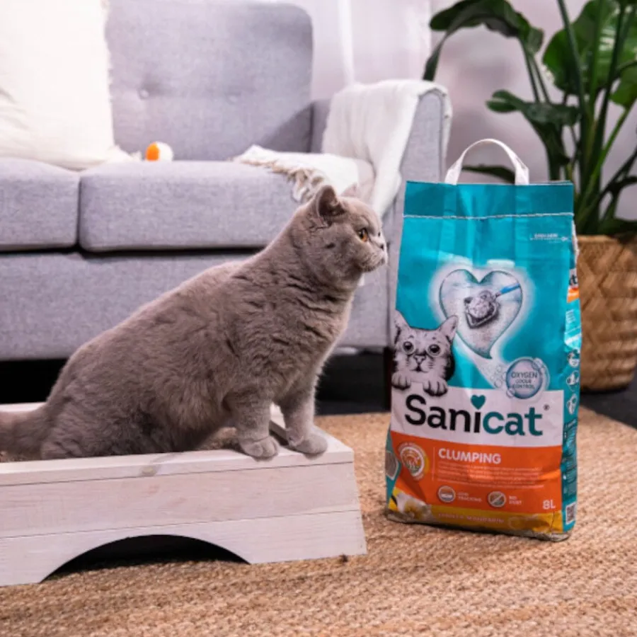 Sanicat Arena Aglomerante Vainilla y Mandarina New
