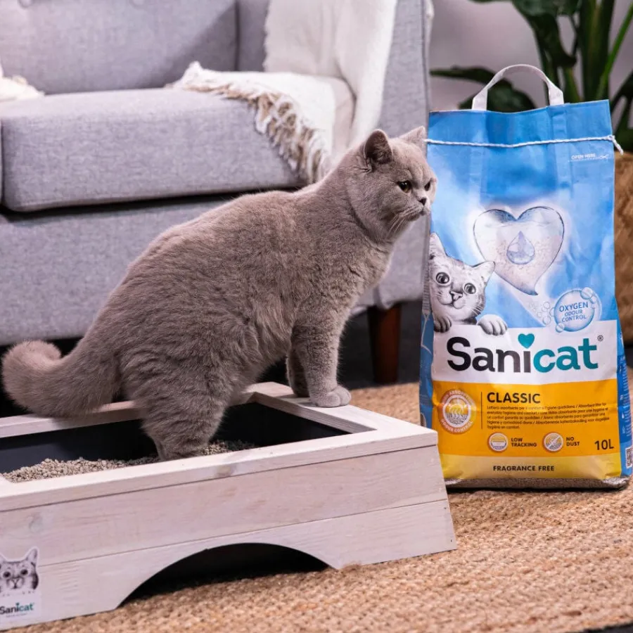 Sanicat Classic Arena absorbente sin perfume para gatos Online