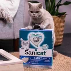 Sanicat Clumping White Arena Blanca Aglomerante sin perfume para gatos Hot