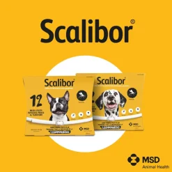 Scalibor Collar Antiparasitario para perros Sale
