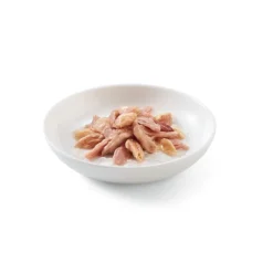 Schesir Adult atún con salmón sobre para gatos.