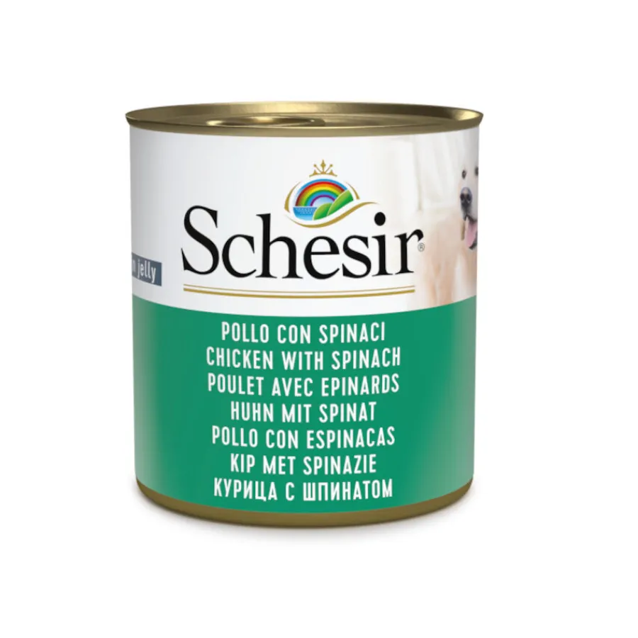 Schesir Adult pollo con espinacas lata para perros Outlet