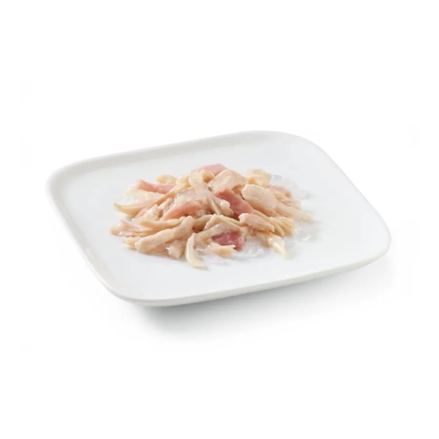 Schesir Adult pollo con jamón lata para perros Online