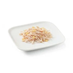 Schesir Adult pollo con piña lata para perros Sale