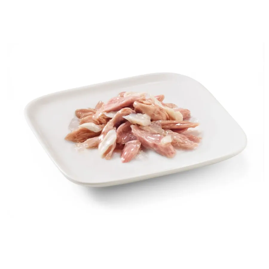 Schesir Filetes de Atún con Lubina en Gelatina lata para perros Hot