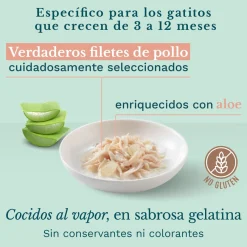 Schesir Kitten pollo con aloe latas para gatitos Best