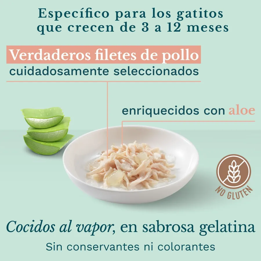 Schesir Kitten pollo con aloe latas para gatitos Best