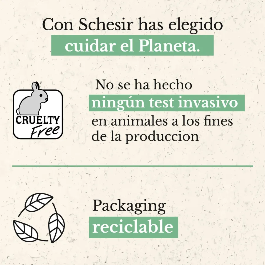 Schesir Kitten pollo con aloe latas para gatitos Best