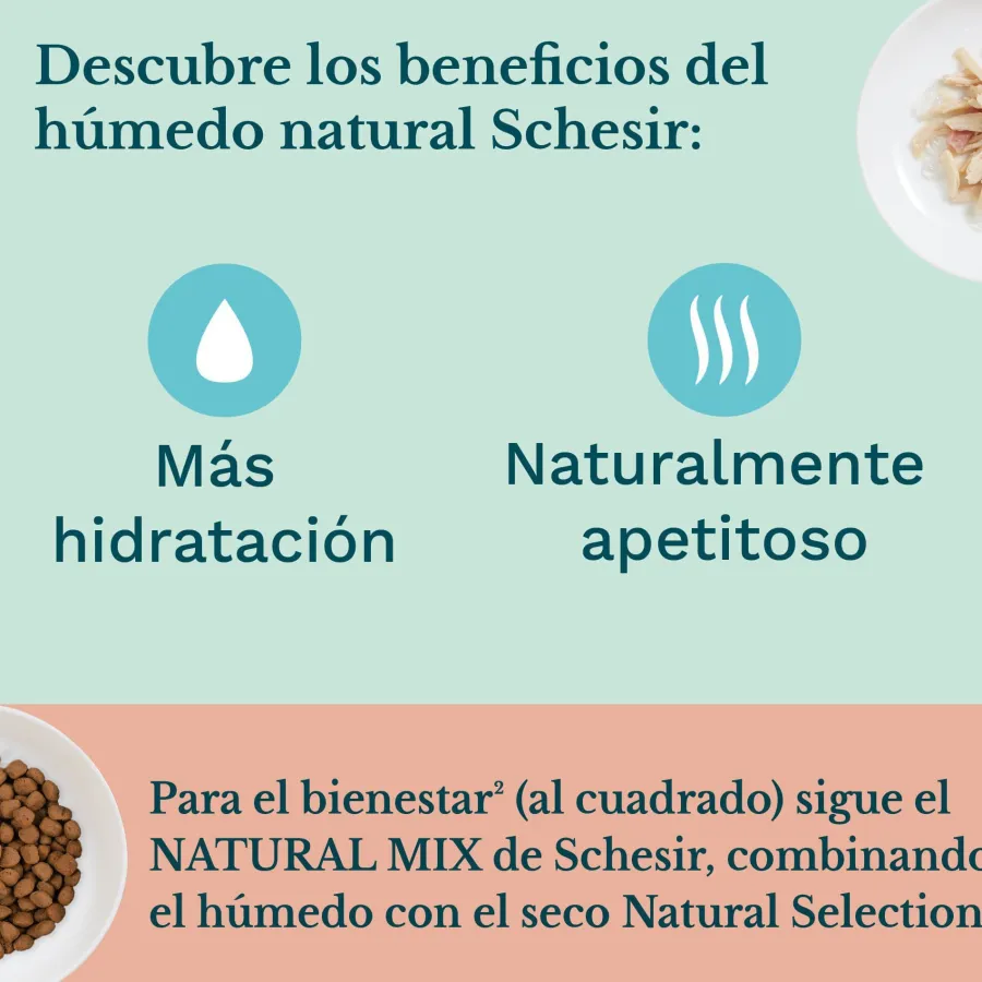 Schesir Kitten pollo con aloe latas para gatitos Best