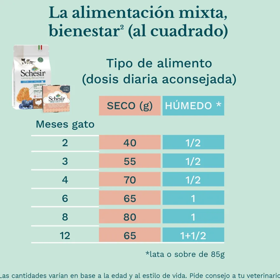 Schesir Kitten pollo con aloe latas para gatitos Best
