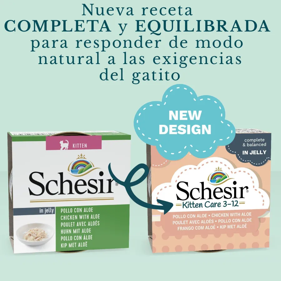 Schesir Kitten pollo con aloe latas para gatitos Best
