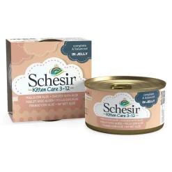 Schesir Kitten pollo con aloe latas para gatitos Best