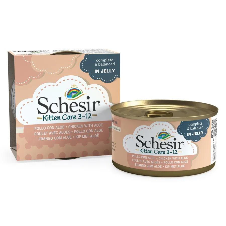 Schesir Kitten pollo con aloe latas para gatitos Best